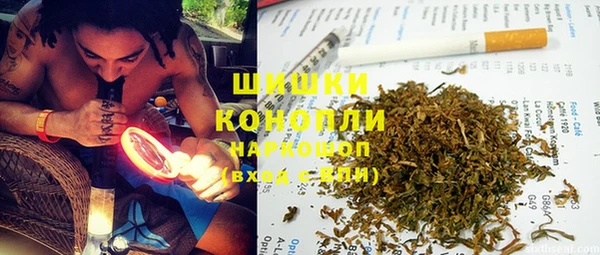 ГАЛЛЮЦИНОГЕННЫЕ ГРИБЫ Касимов