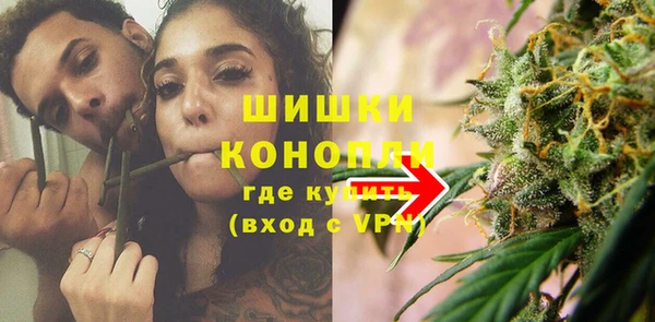 прущие грибы Киренск