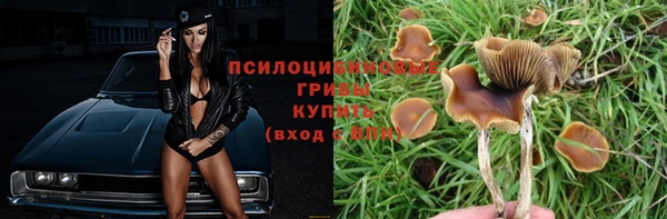 MESCALINE Карпинск